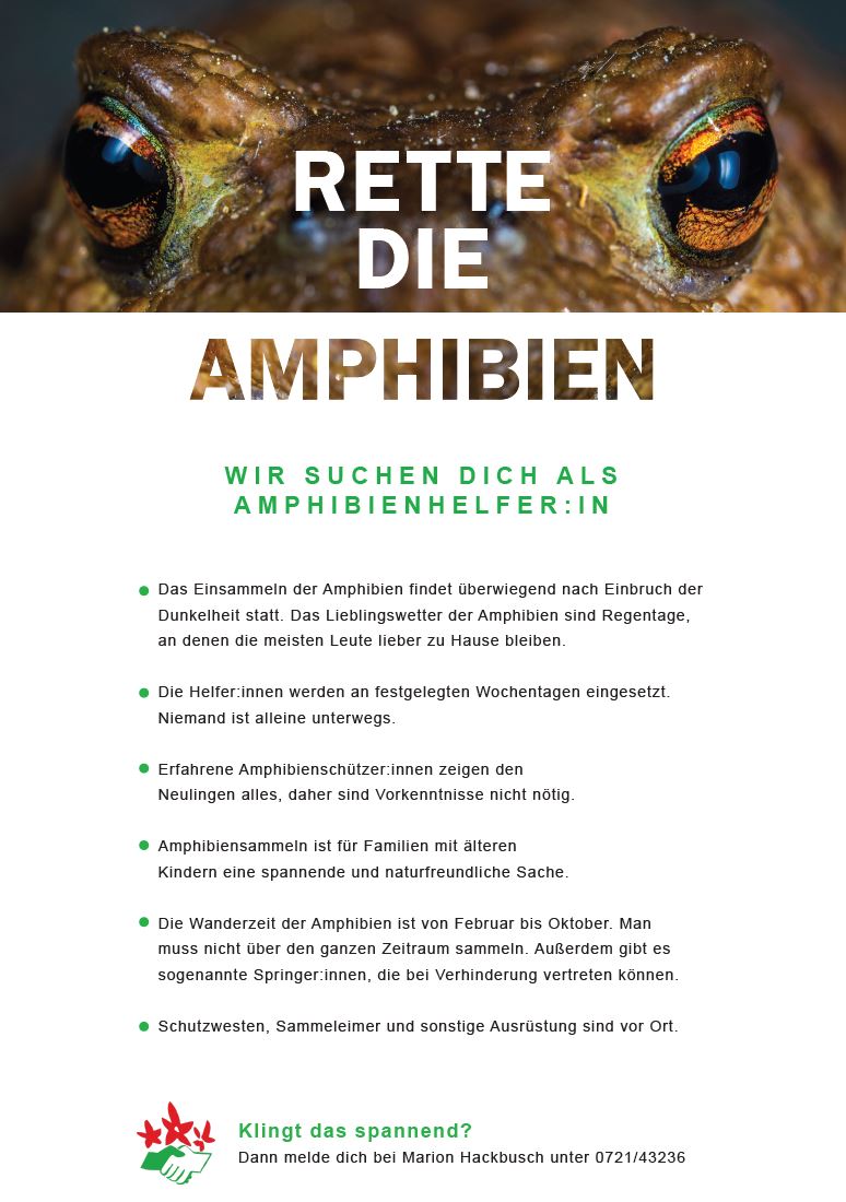 Flyer Amphibien Seite2